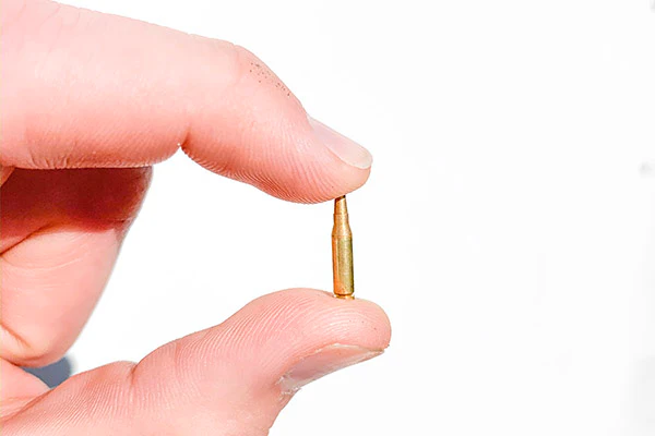 AR Dummy Rounds (15) - Image 3