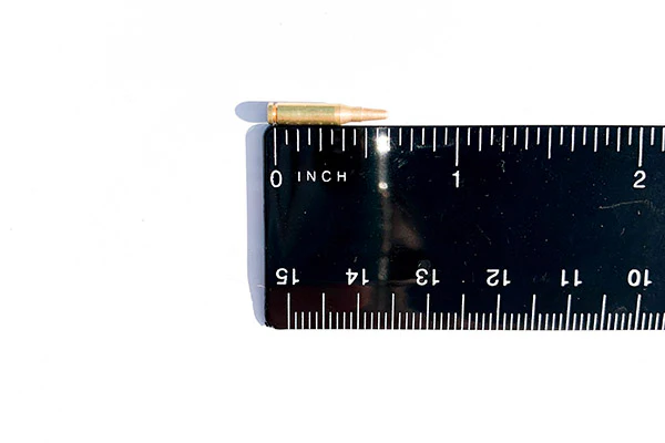 AR Dummy Rounds (15) - Image 4