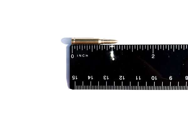 .50 cal Dummy Rounds (10) - Image 2