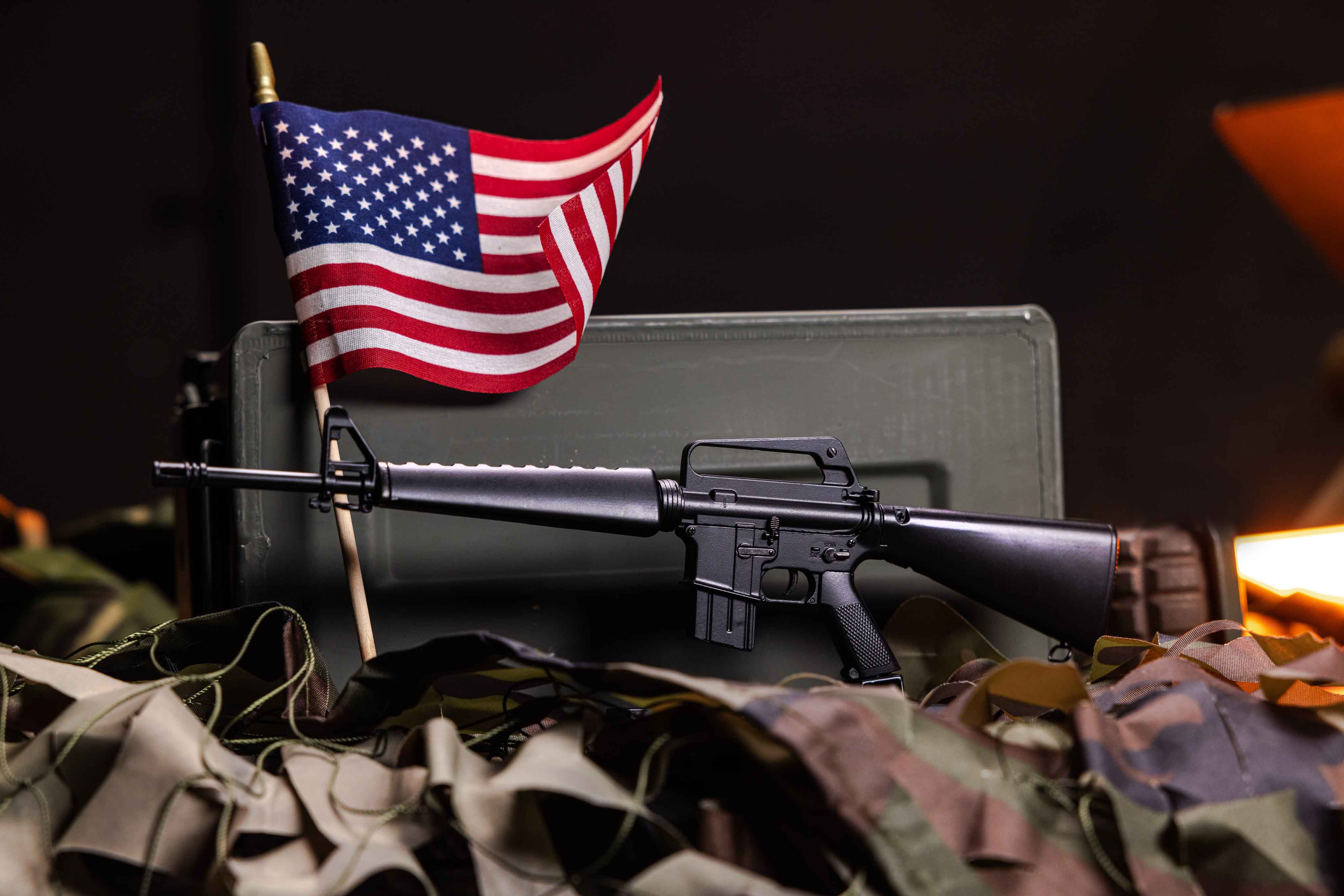 M16A1 Model - Image 3
